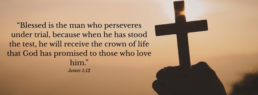 Weekly Market Insights | Markets Dizzied by Rapid Reports